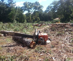 Storm Cleanup