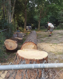 Lot Clearing
